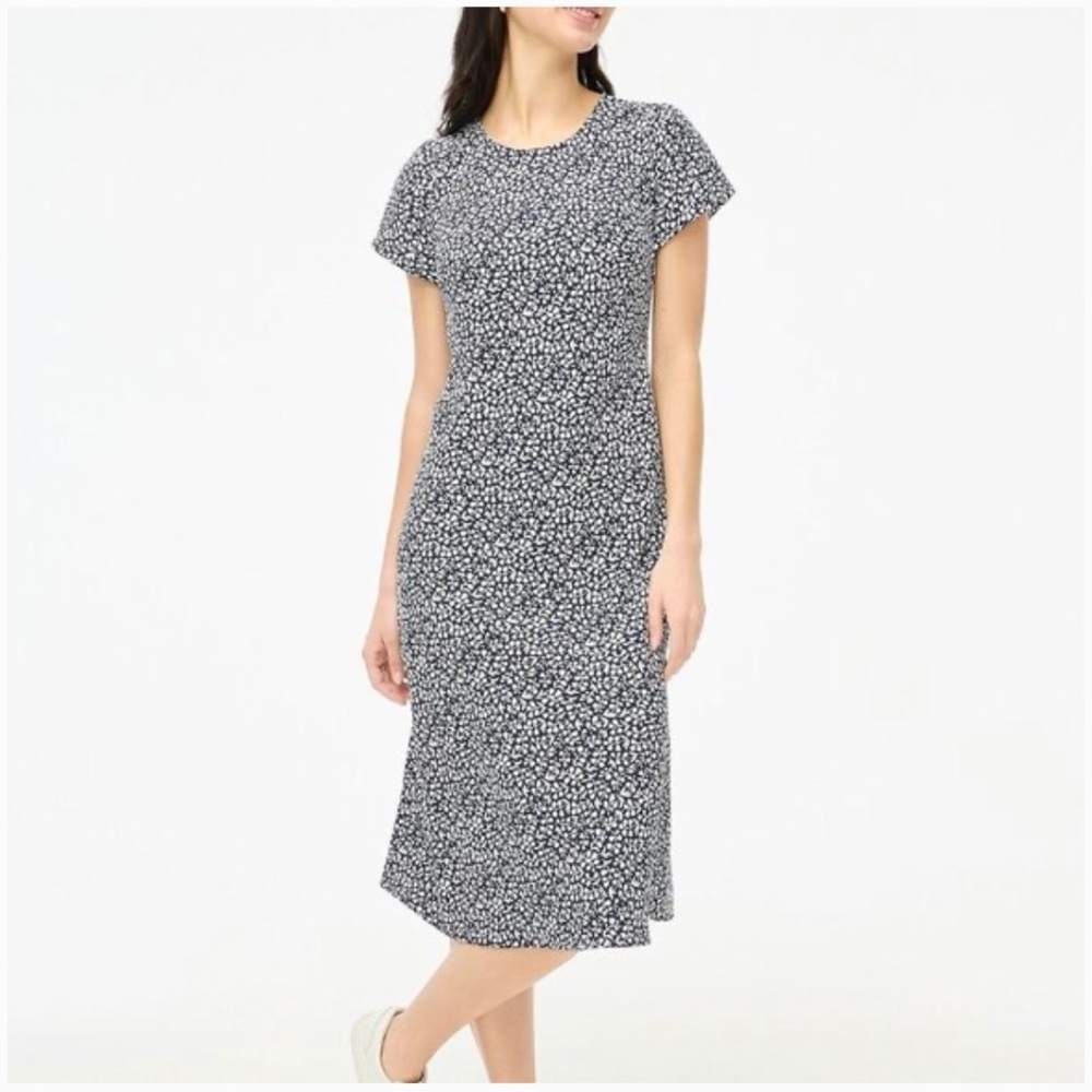 JCrew Dress